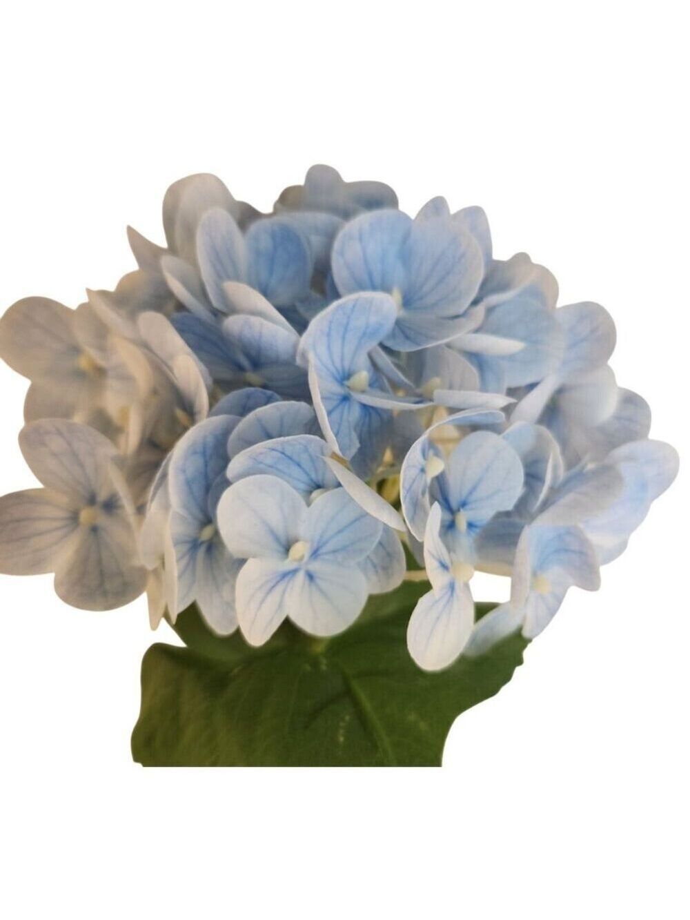 Soft Blue Artificial Hydrangea Stem Silk Flower Light Faux Floral Wedding Decor - Picture 4 of 12